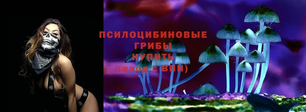 каннабис Новодвинск