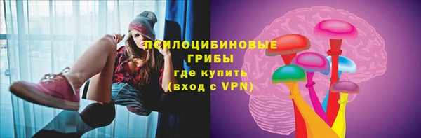 тгк Новокубанск