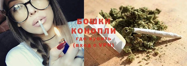 мдпв Нея