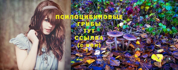 мдпв Нея