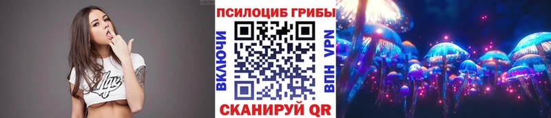 Псилоцибиновые грибы Psilocybine cubensis OMG Петровск
