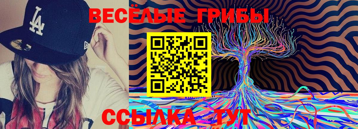 Петровск  Псилоцибиновые грибы прущие грибы  Вход с VPN 