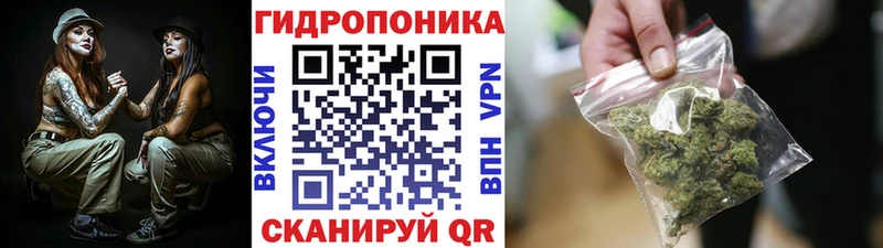 Шишки марихуана конопля  KRAKEN tor  Петровск 